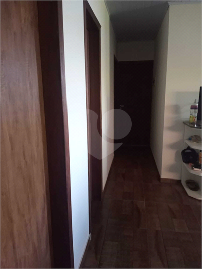 Foto REO641699