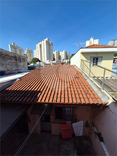 Foto REO641762