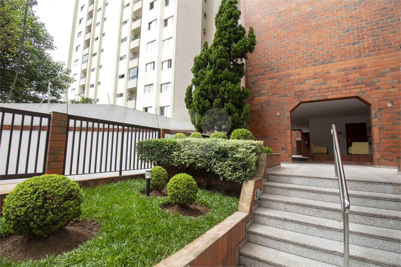 Foto REO641941