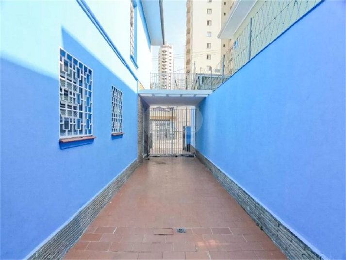 Foto REO641953