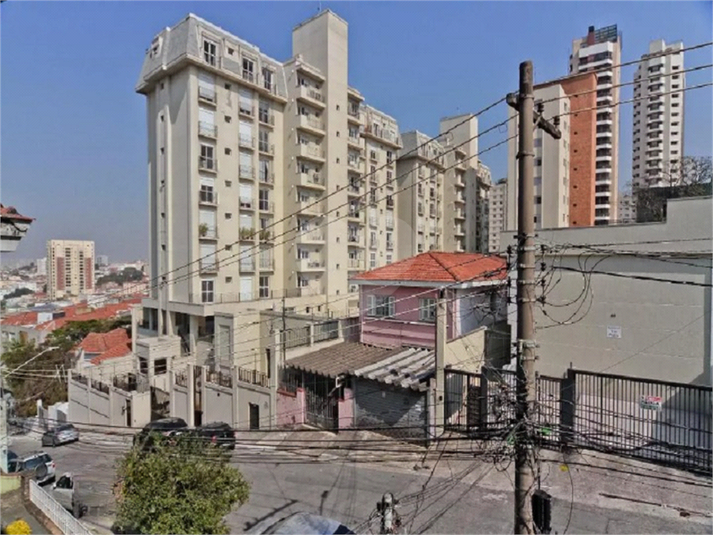 Foto REO641953