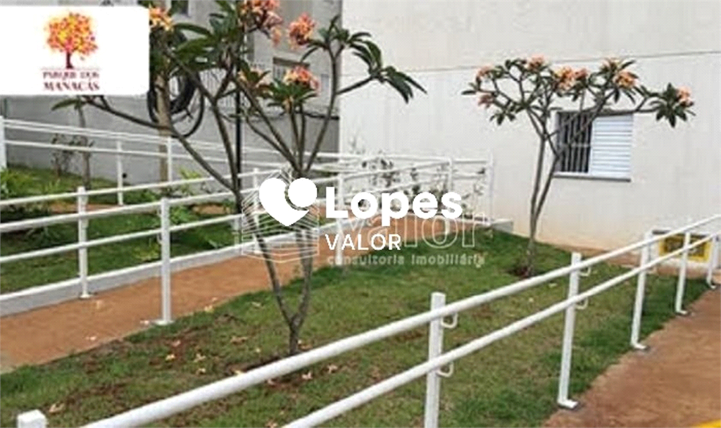 Venda Apartamento São Carlos Recreio São Judas Tadeu REO642012 13