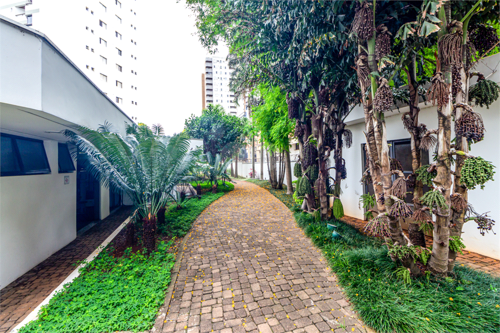 Venda Apartamento São Paulo Vila Mariana REO642104 25