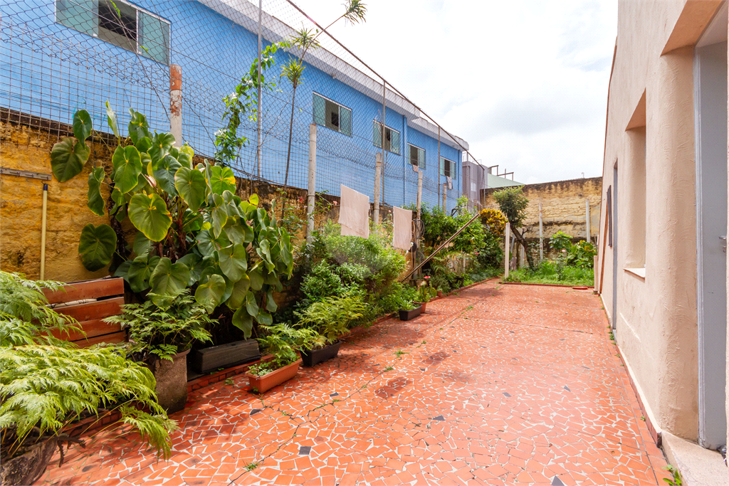 Venda Casa São Paulo Belenzinho REO642946 45