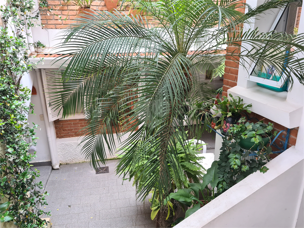 Venda Casa São Paulo Jardim Paulistano REO643400 28