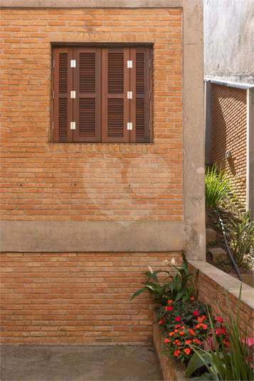 Foto REO643698