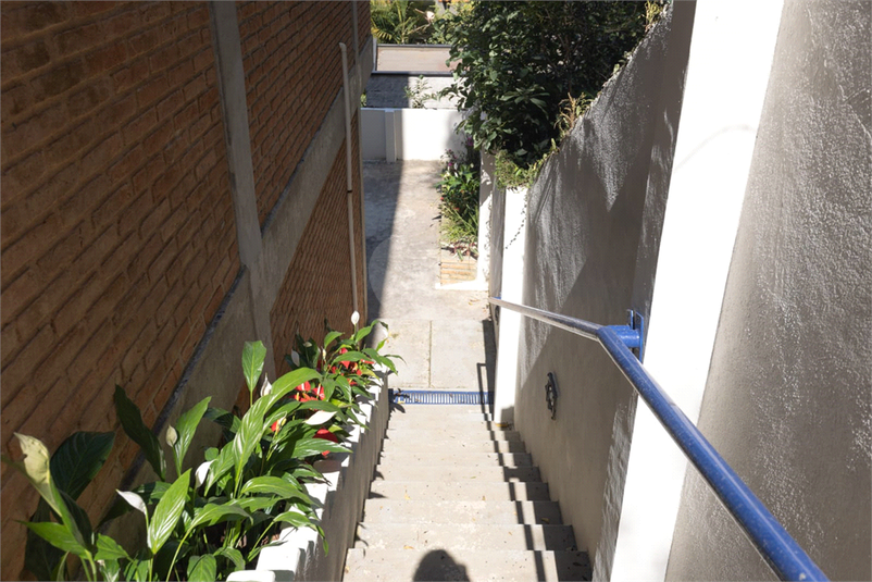 Foto REO643698