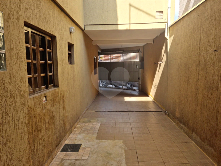 Foto REO643813