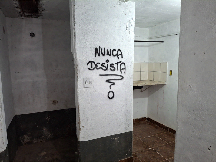 Foto REO646355