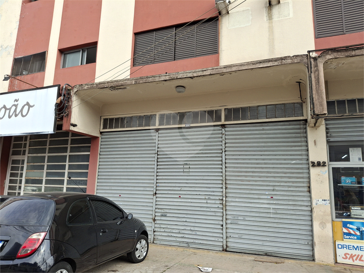 Foto REO646355