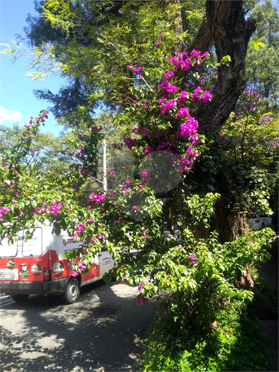 Venda Casa térrea São Paulo Alto De Pinheiros REO646510 5