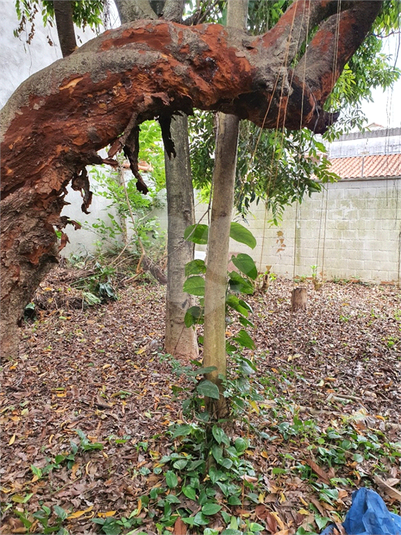 Venda Casa São Paulo Alto Da Mooca REO646900 10