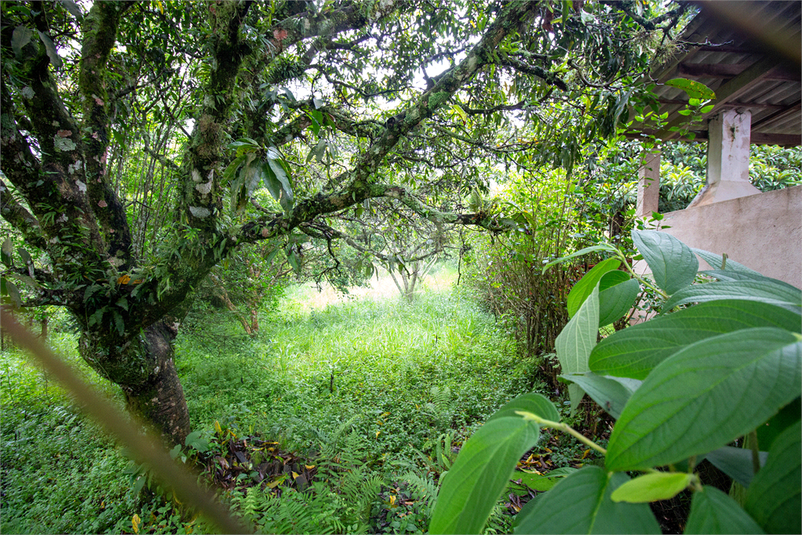 Venda Chácara São Roque Jardim Caparelli (mailasqui) REO647219 44