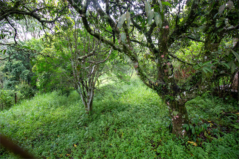 Venda Chácara São Roque Jardim Caparelli (mailasqui) REO647219 45