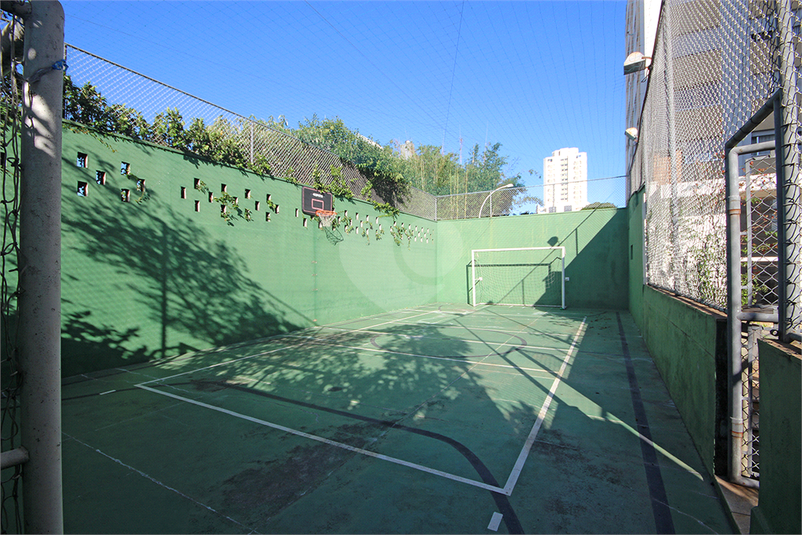 Foto REO647413