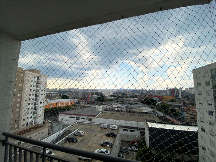 Foto REO647556