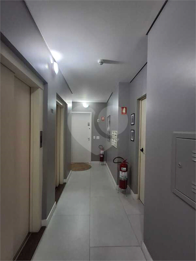 Foto REO647901