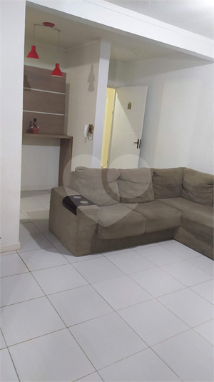 Foto REO648047
