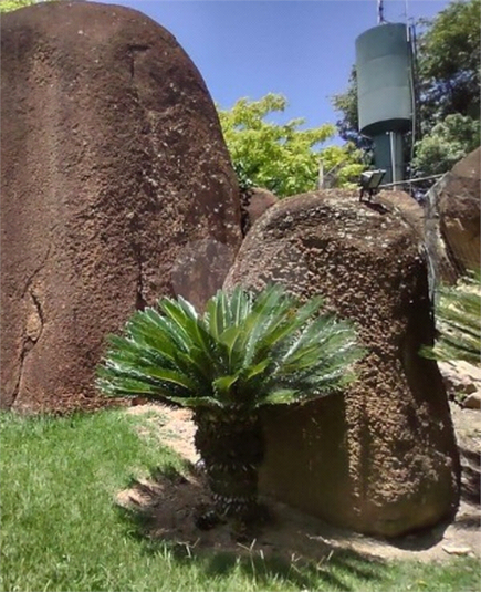 Venda Condomínio Itupeva Parque Dos Cafezais 4 REO648108 8