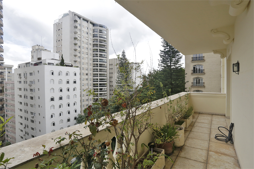 Venda Apartamento São Paulo Jardim Paulista REO648210 1