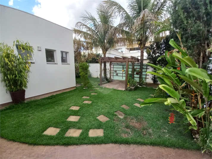 Foto REO648216