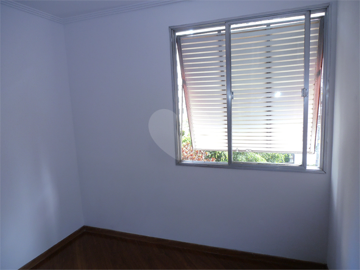 Foto REO648466