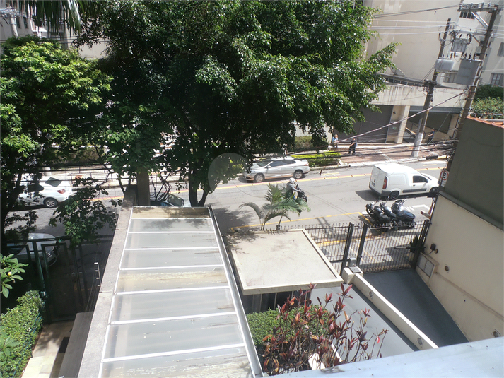 Foto REO648466