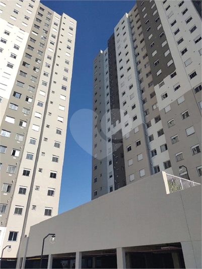 Foto REO648665