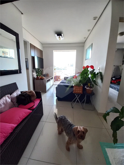 Foto REO648753