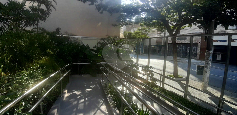 Foto REO648906