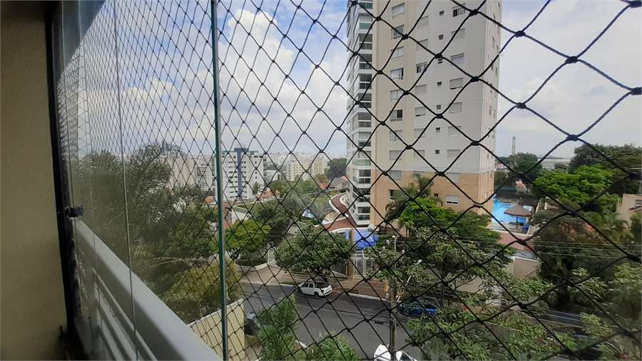 Foto REO648927
