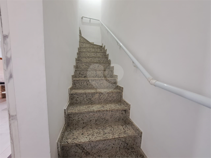 Foto REO649233