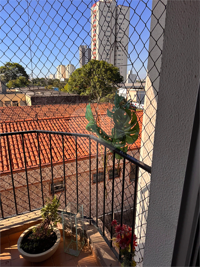 Venda Apartamento São Paulo Vila Mascote REO64936 3