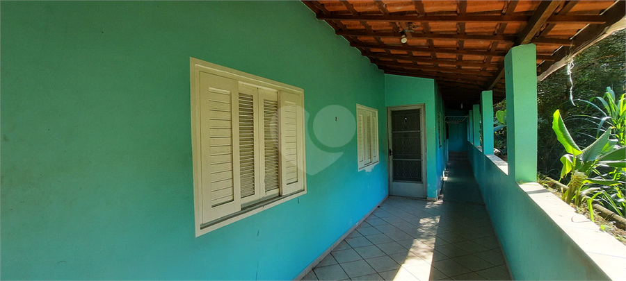 Foto REO649826