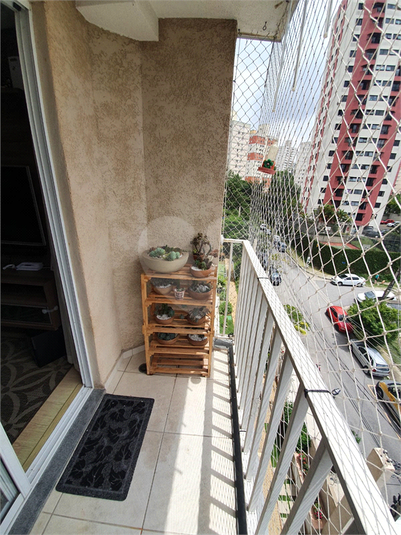 Venda Apartamento São Paulo Jardim Celeste REO650118 25