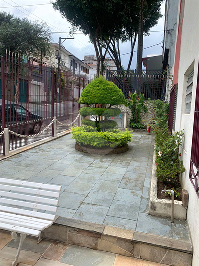 Foto REO650238