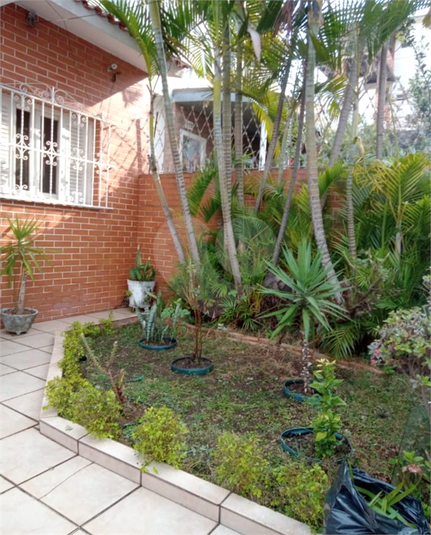 Foto REO650353