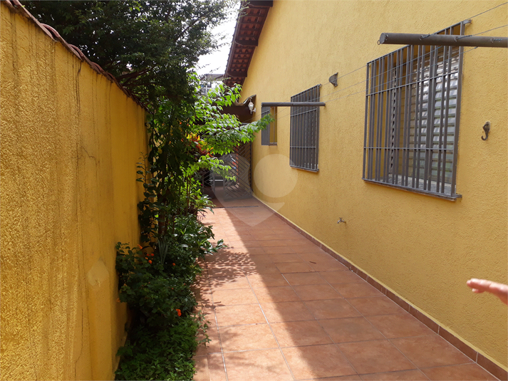 Foto REO650752