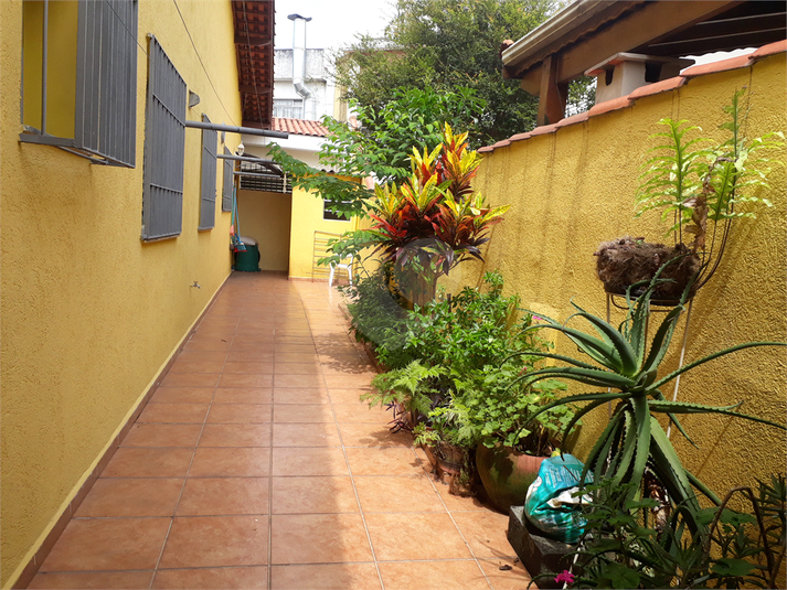 Foto REO650752