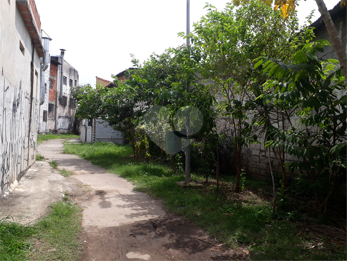 Foto REO650752
