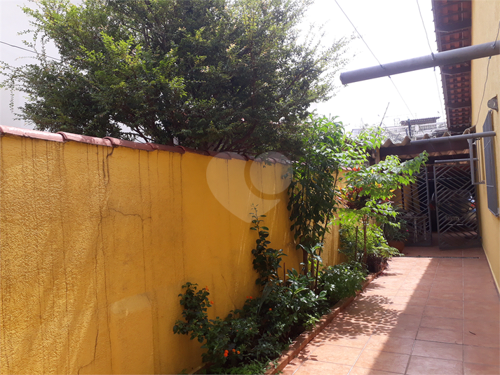 Foto REO650752
