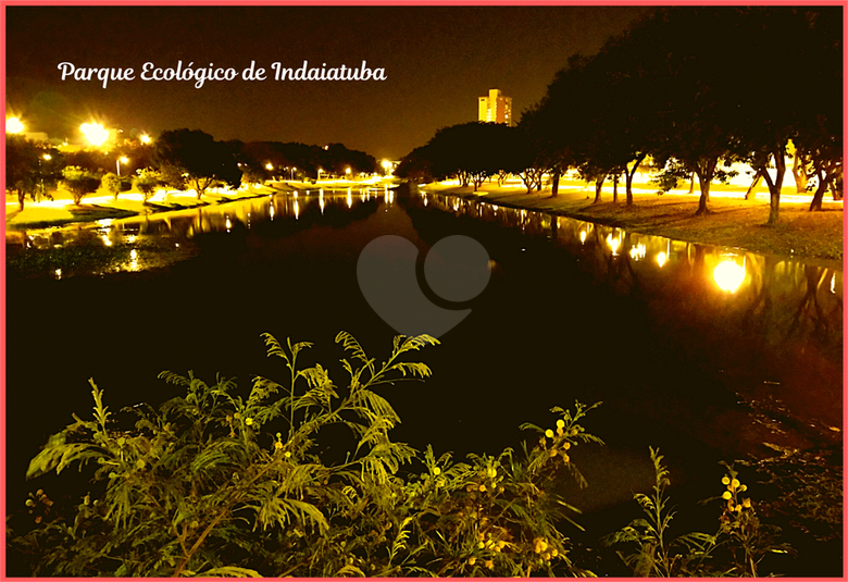 Foto REO651045