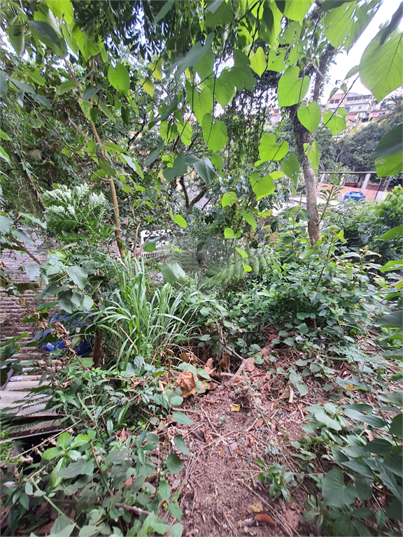 Venda Loteamento São Paulo Jardim Amália REO651105 14