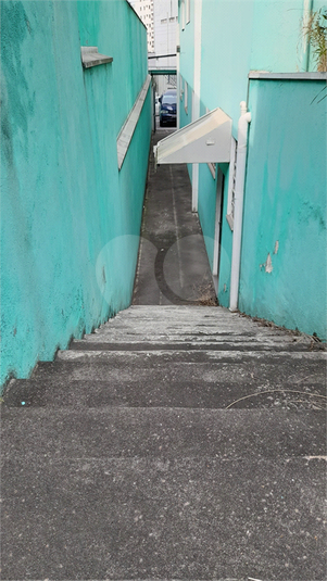 Foto REO651123