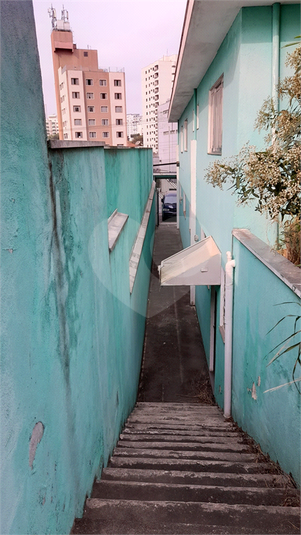 Foto REO651123