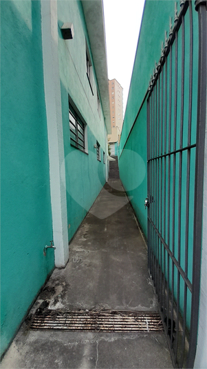 Foto REO651123