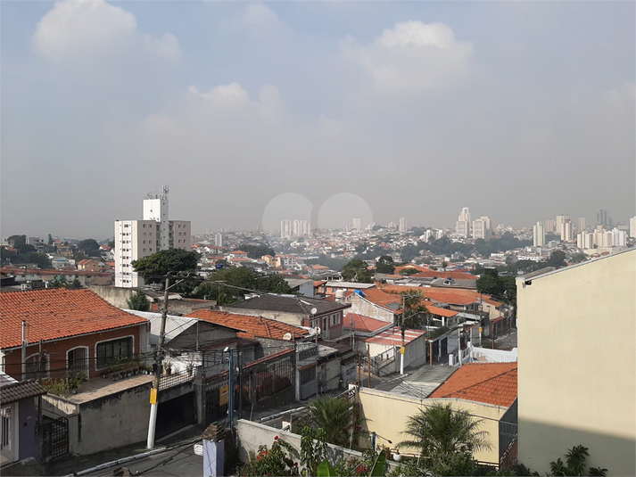 Foto REO651188