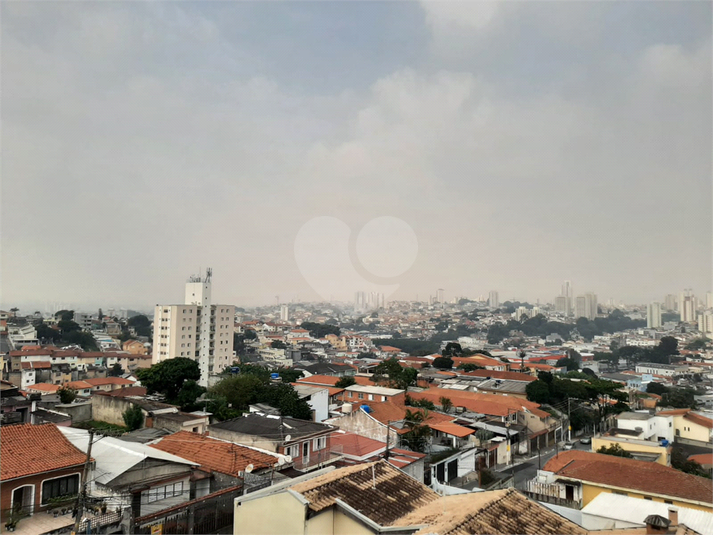 Foto REO651188