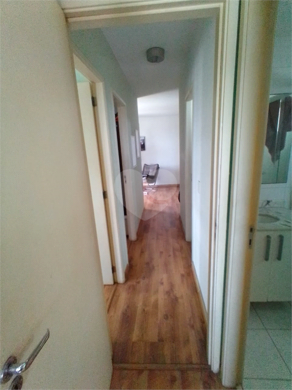 Venda Apartamento Campinas Vila João Jorge REO651493 4