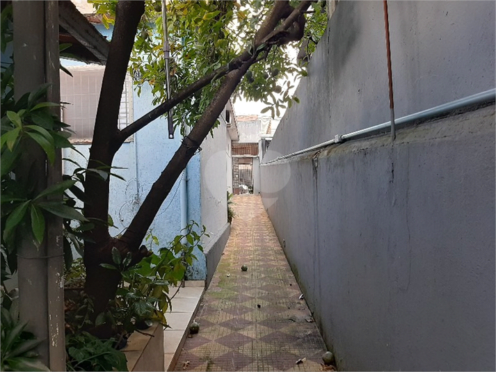 Foto REO651535